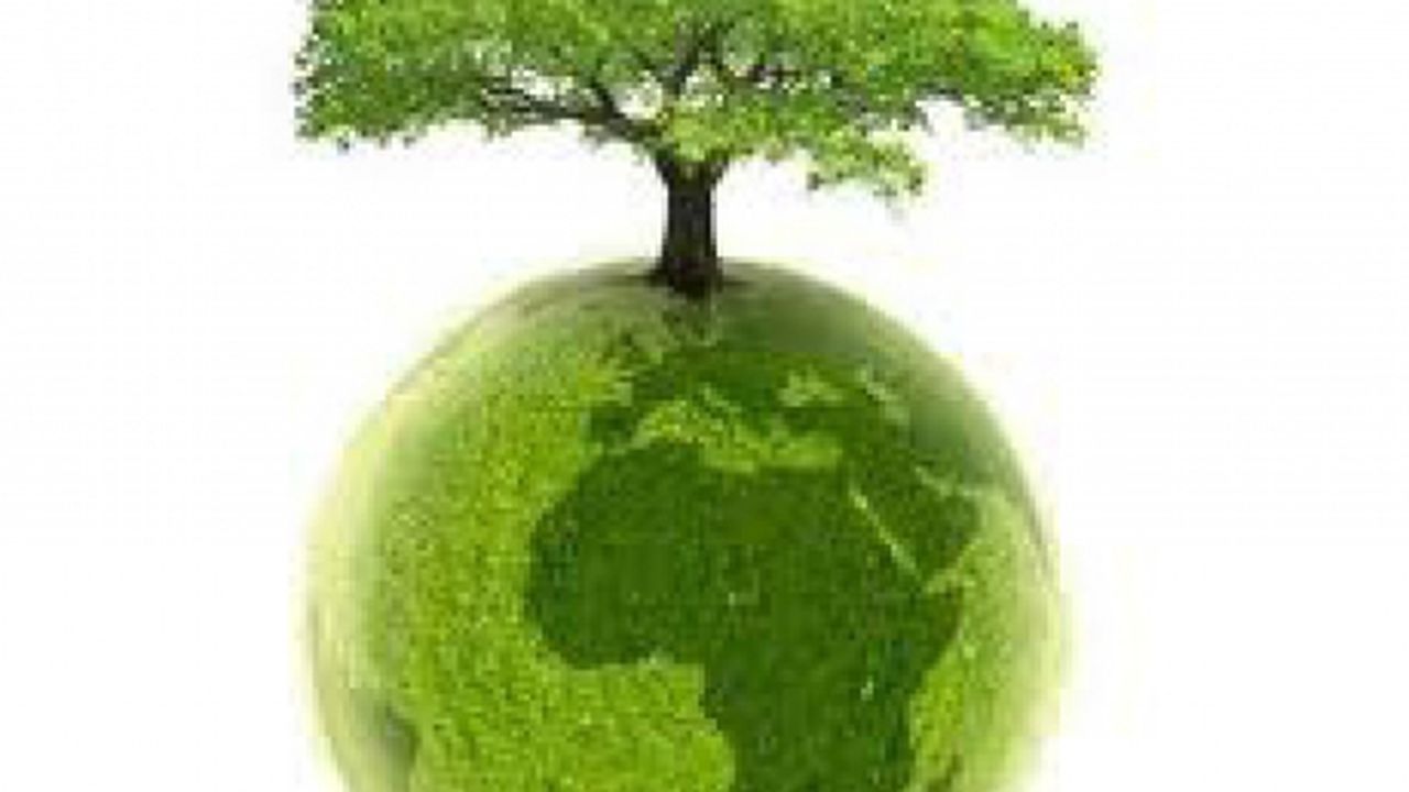 glob_pamant_ecologic_verde_mediu_87714900_15286700