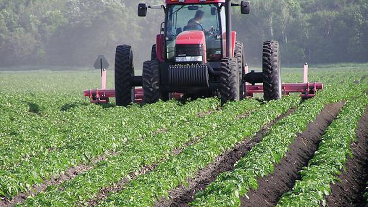 agricultura_89429100