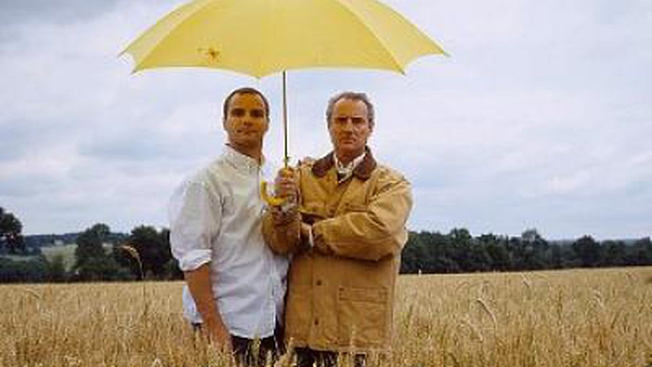 asigurari_agricultura_49504600