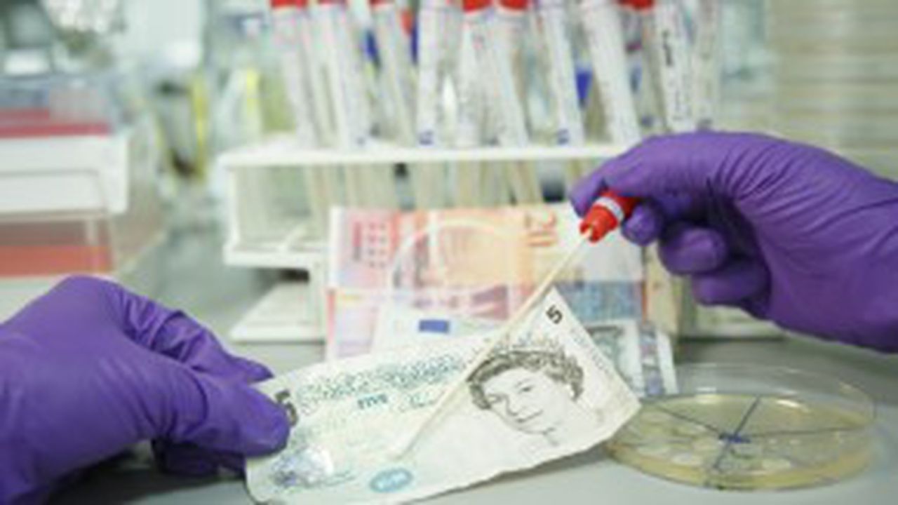 bani_murdari_01451600