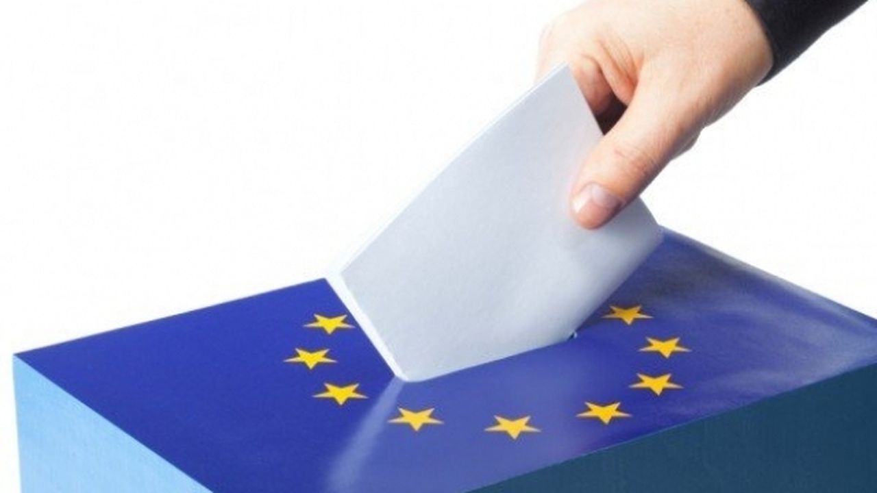 europarlamentare_alegeri_355_45212900