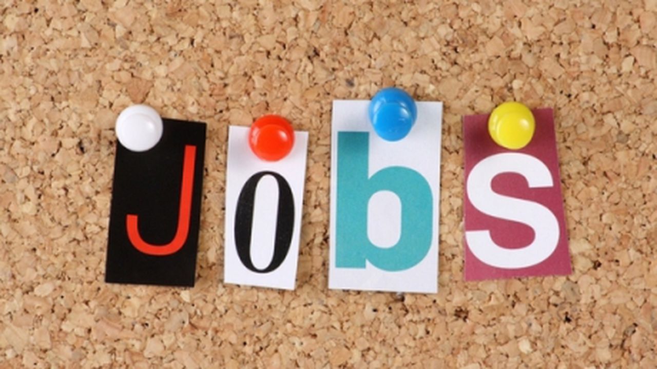 jobs_77720400_77223800