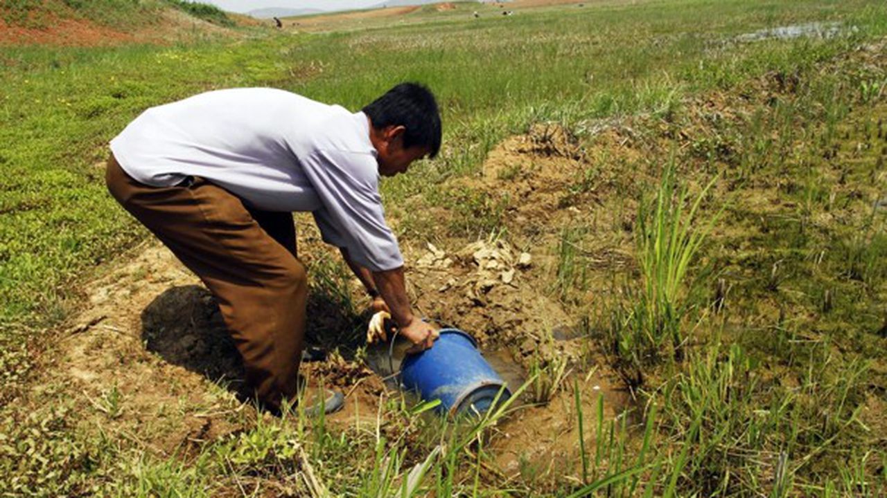 north_korea_drought_jpeg_0d3ef_64428700