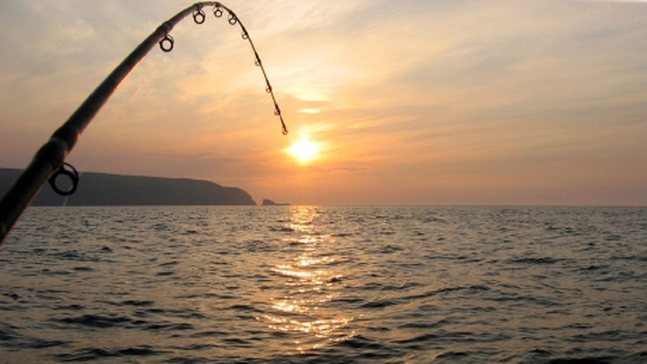 pescuit_pescar_peste_21879900_89984800