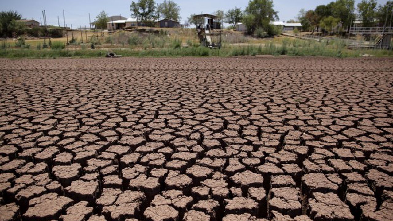 4e52b68b5dc15_image_07449900