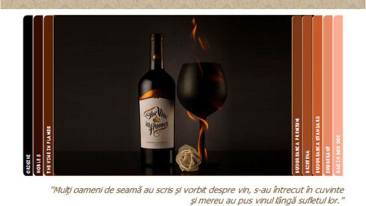 homepage_website_budureasca_81458600