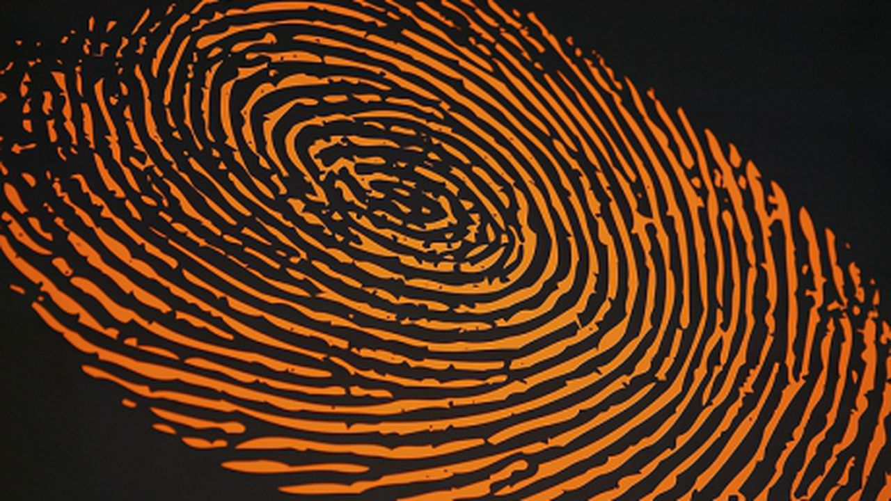 amprenta_38725700_24432700