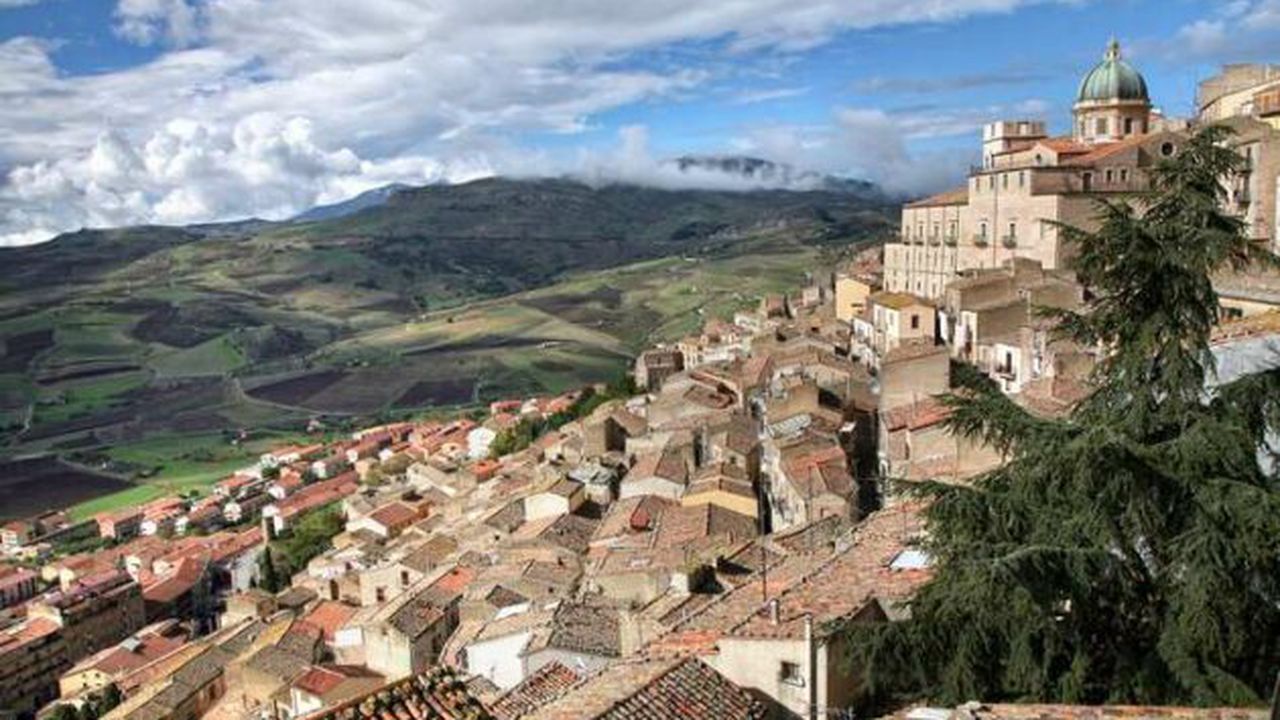 case_a_1_euro_gangi_09342600