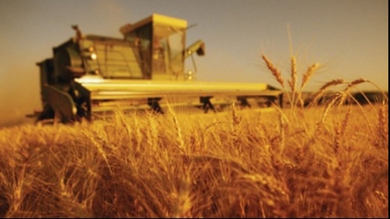 agricultura_recolta_cereale_500x354_06806700_91180000_66330500_71670100