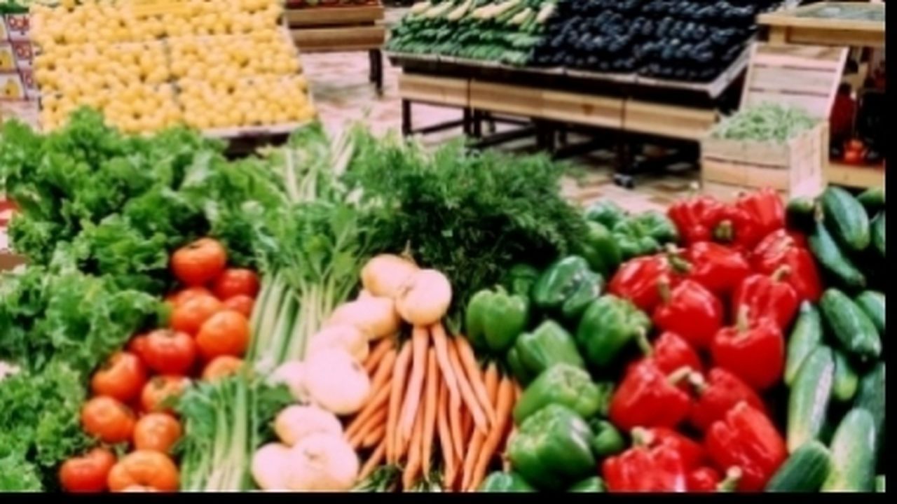 legume_84546500_50867300_94757500_44863000_99470900