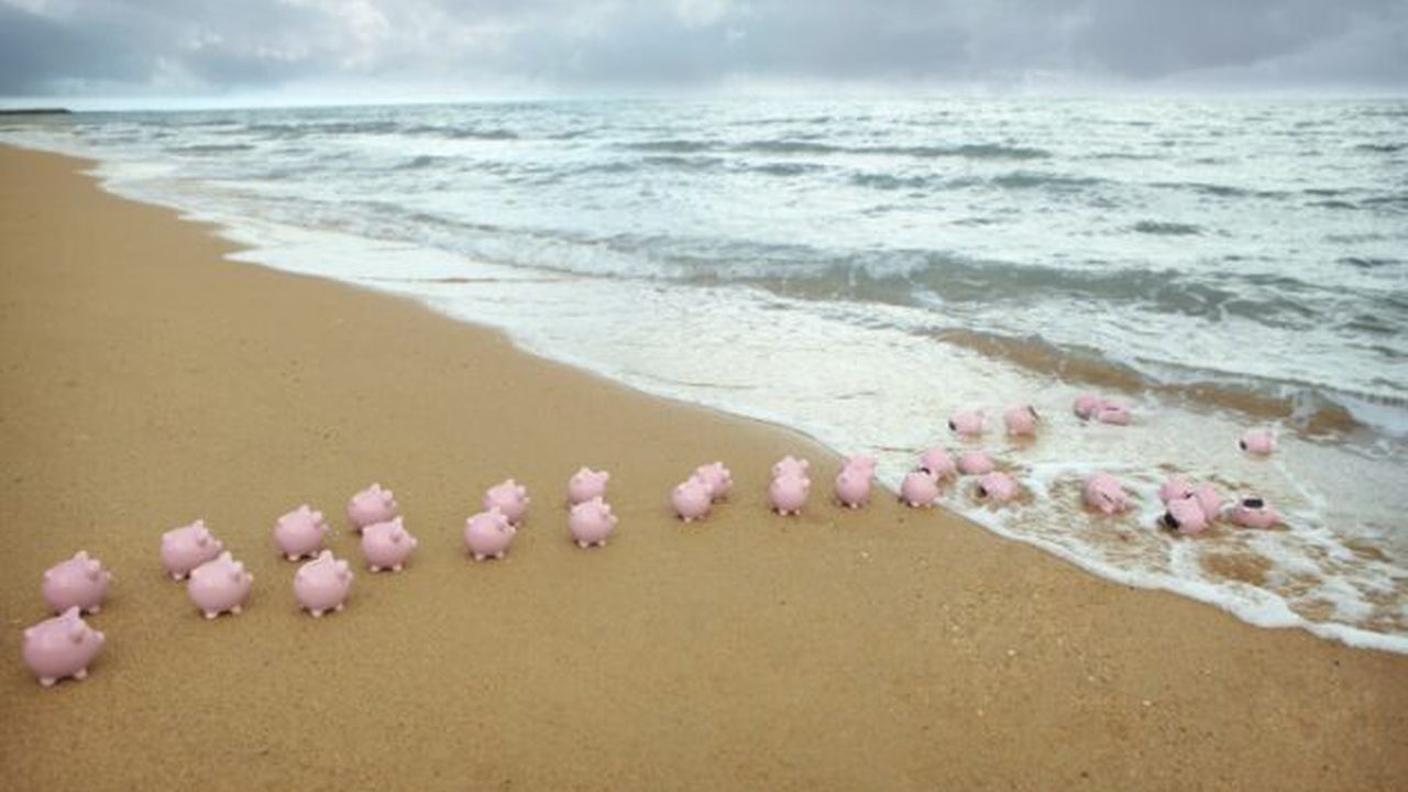 pusculita_paradis_fiscal_economie_niemanlab_52329400