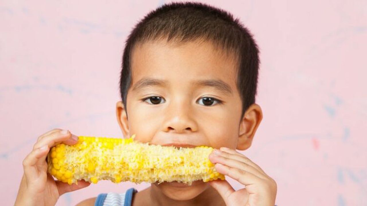 chinez_porumb_33851600