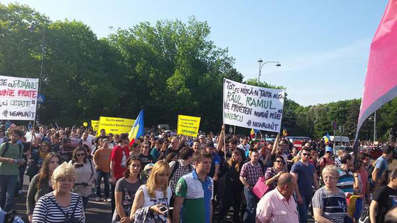 proteste_paduri_2_10505200