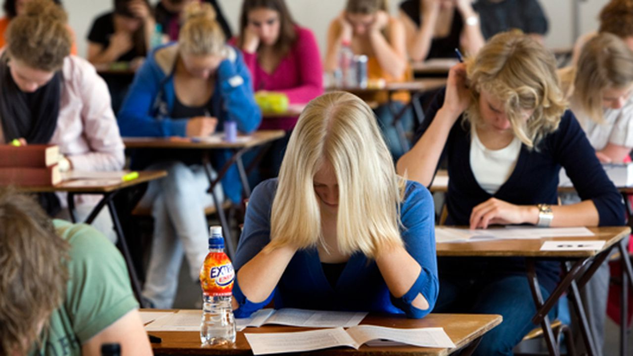 bac_scoala_facultate_67876543_03455600