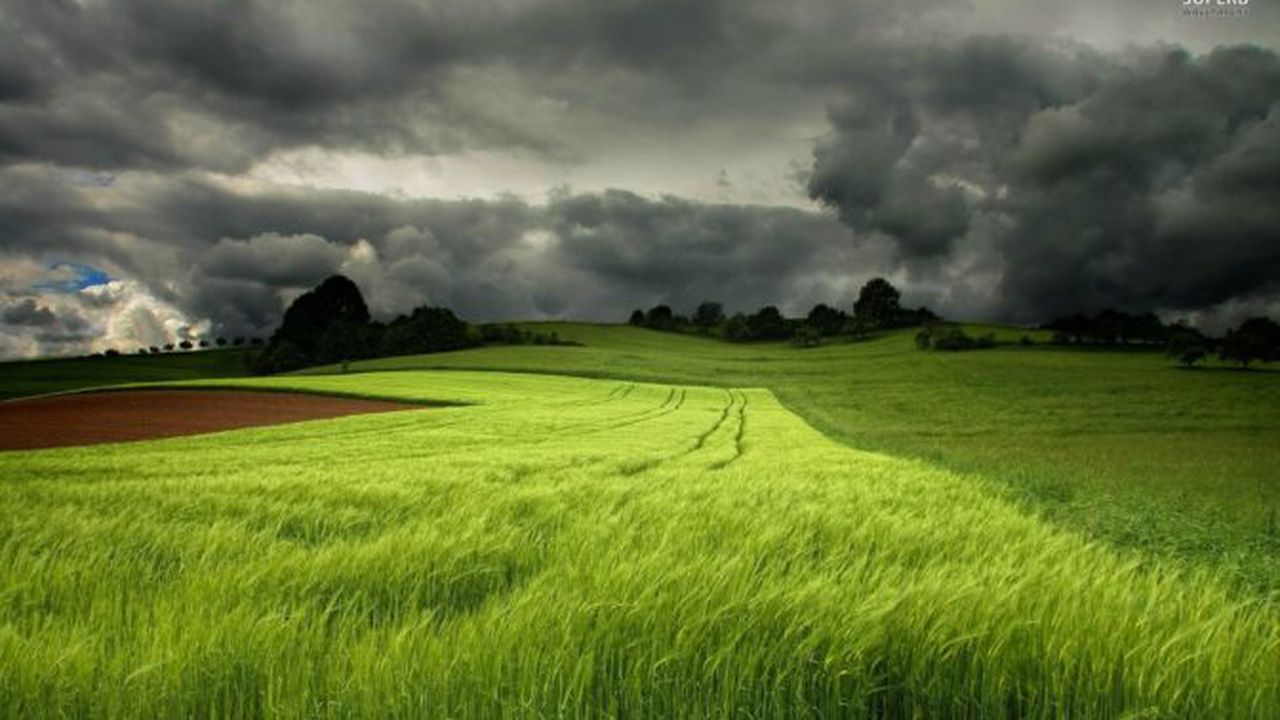 storm_clouds_over_the_green_field_22744_1680x1050_70595300