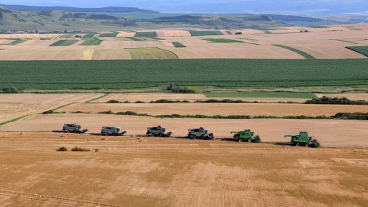 agricultura_3_93789700_74165500