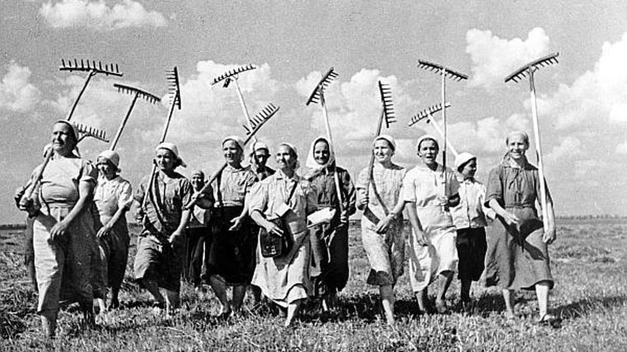 cooperativa_agricola_600x400_22828500