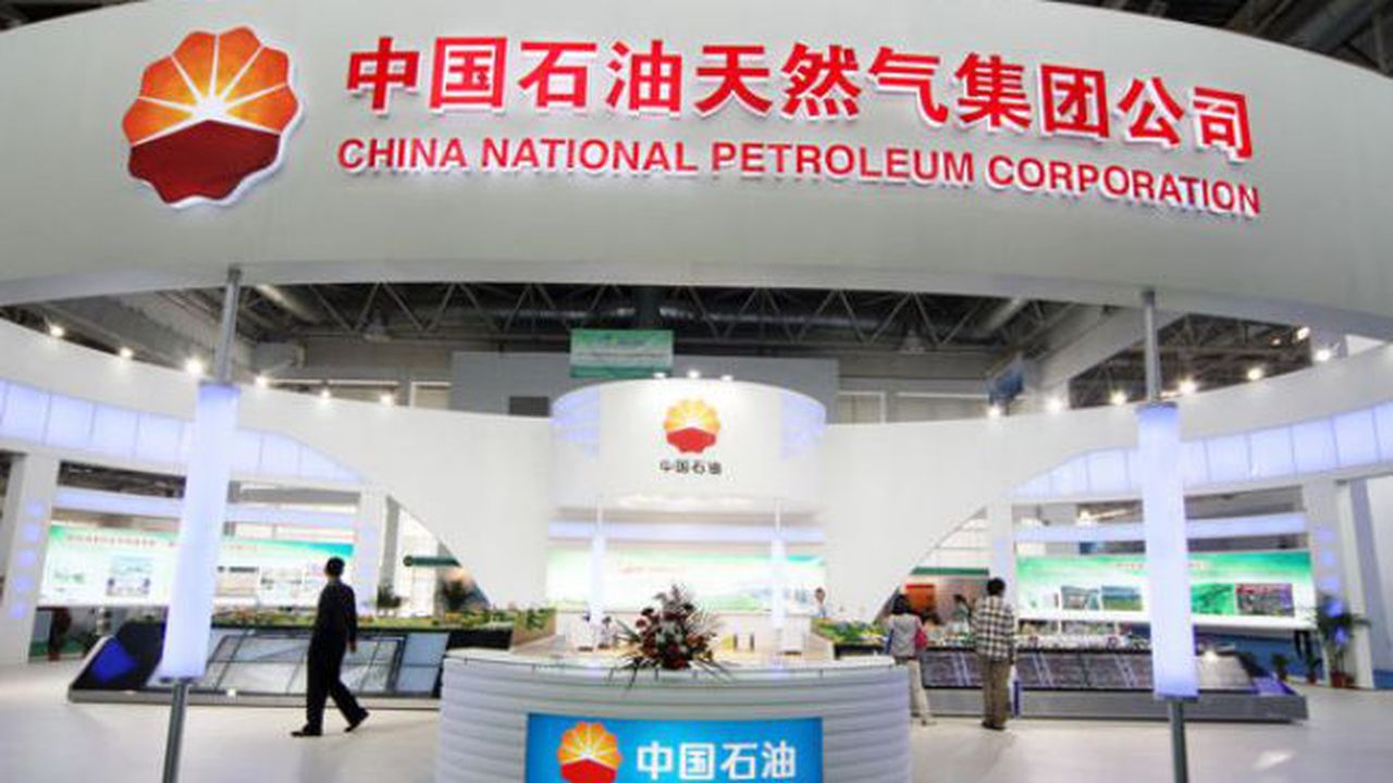 shamseddin20130813172058470_96671200