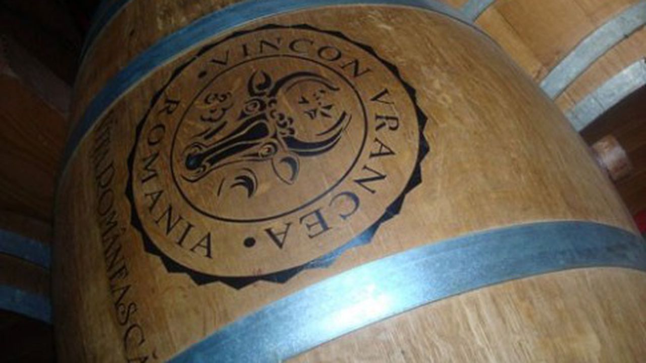 vincon1_485x363_73192400