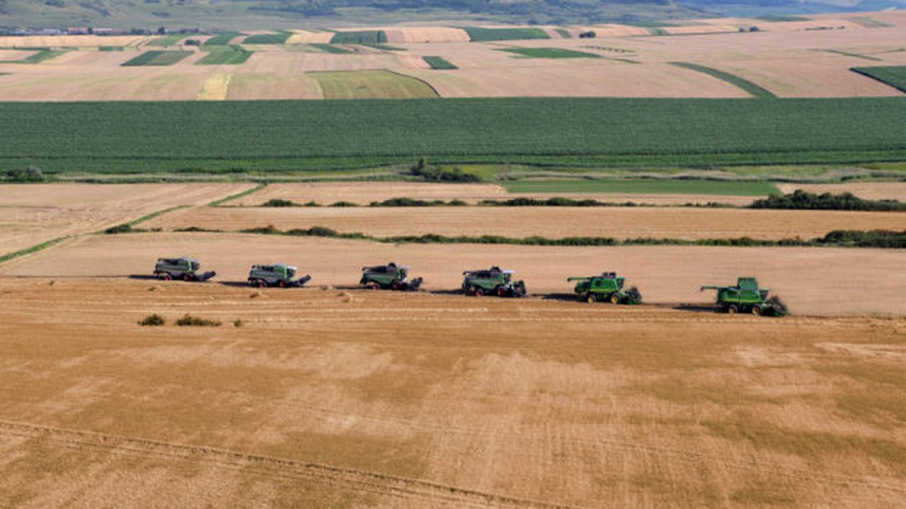agricultura_3_27736600