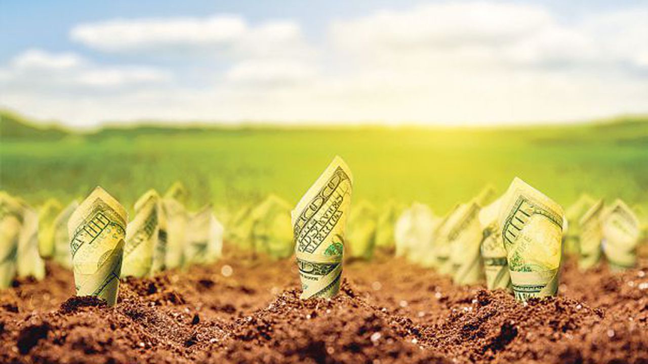 agricultura_56787654567_26513100