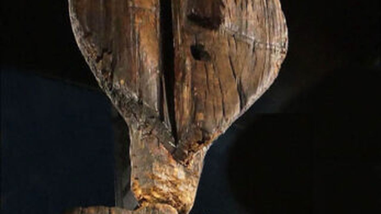 inside_face_left_73100500