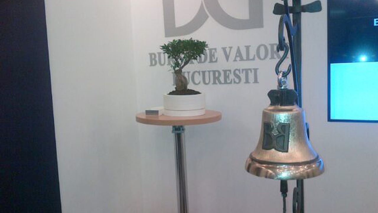 bursa_bonzai_clopot_38359000