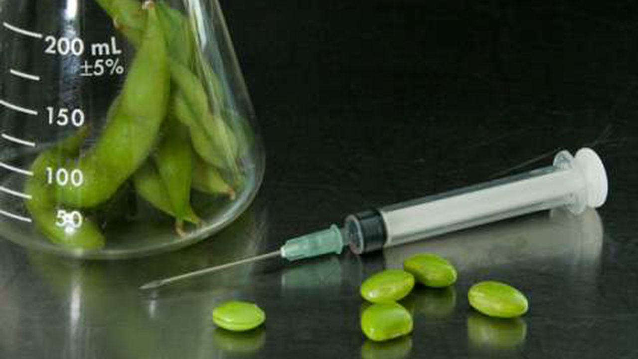 gmosoybirthdefects11213_52812000