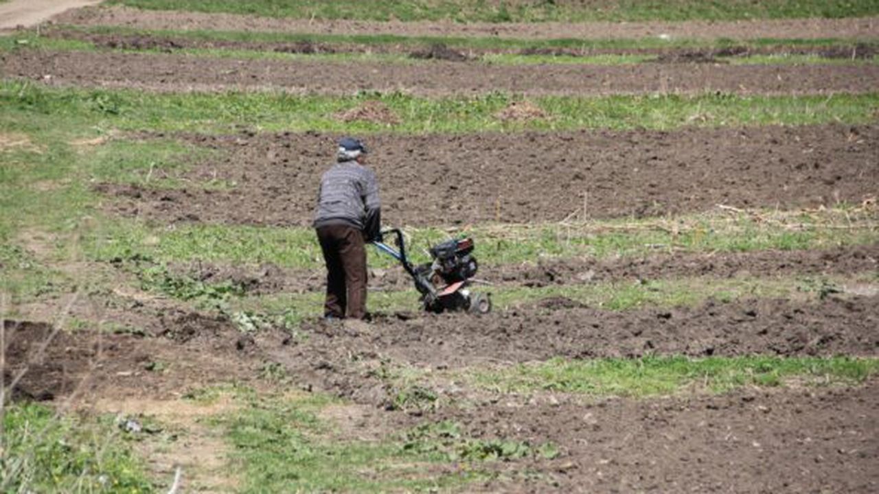taranii_si_au_abandonat_terenurile_si_mai_tin_doar_de_tarlaua_din_ratul_satului1359556258_95087400