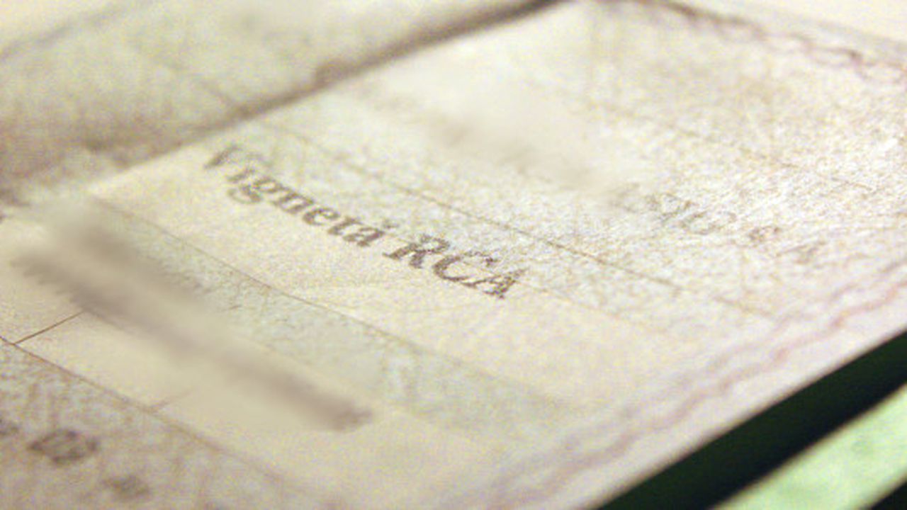 rca_polita_46789876_28095100