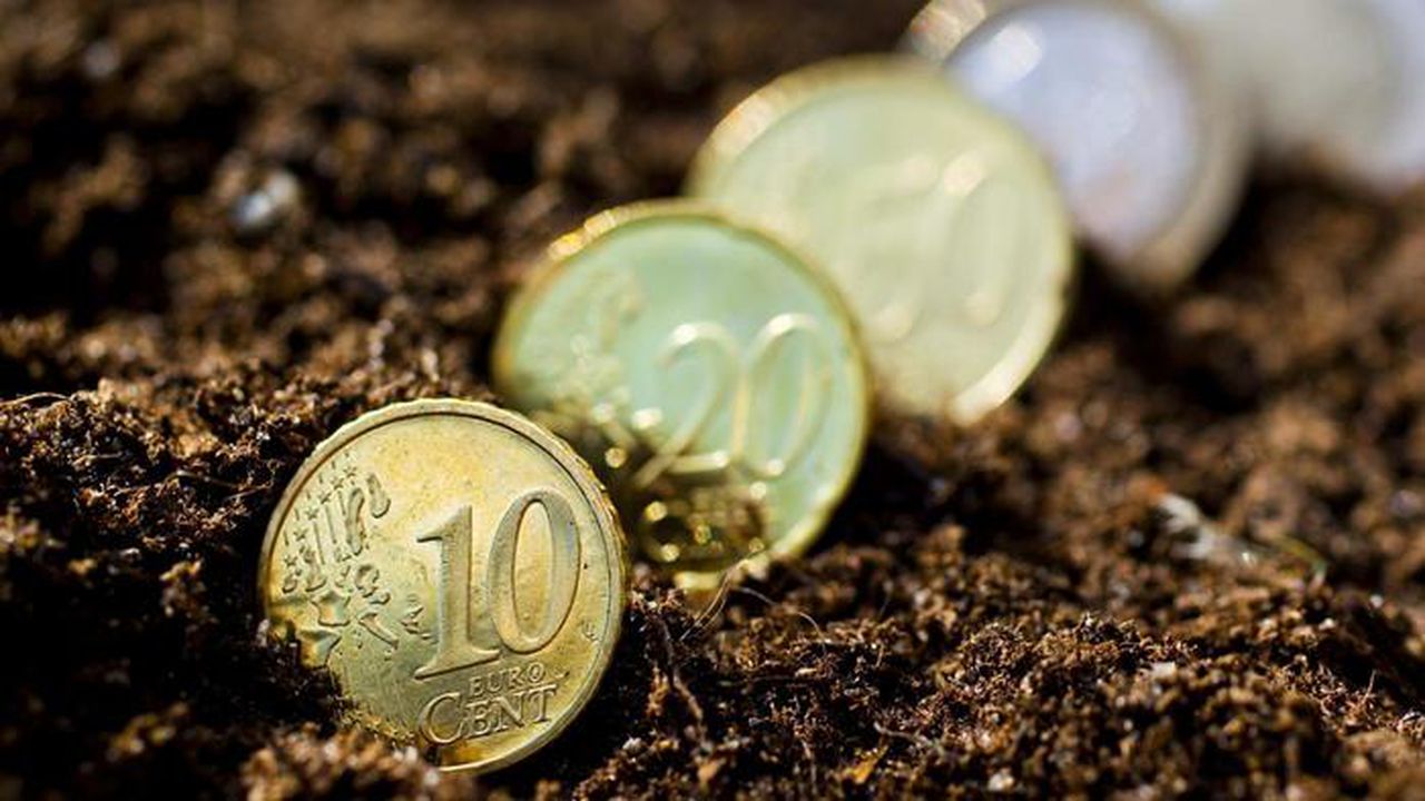 soil_coin_tied_piece_textile_material_mean_4278761058eb53a0_36908400