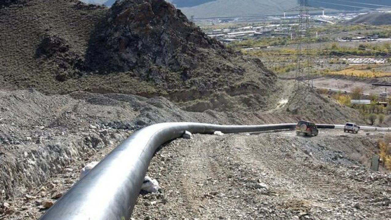 lynxnpec1311y_l_84943300