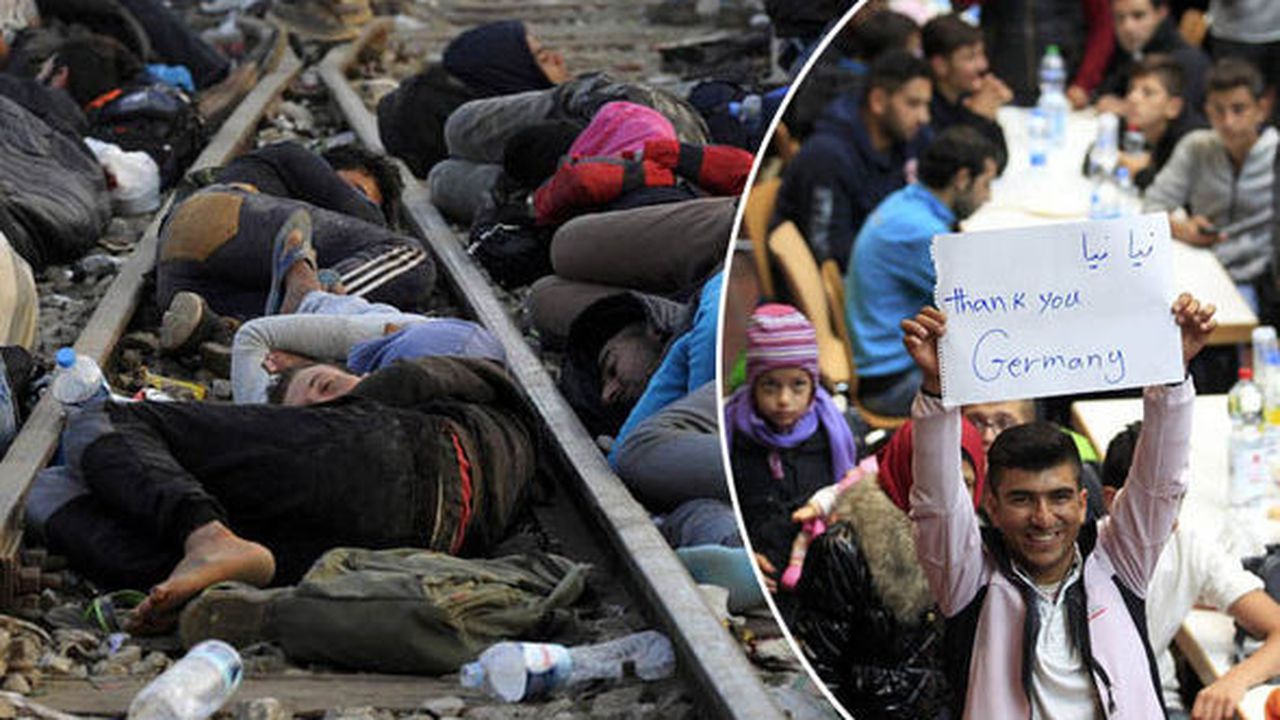 migrants_tracks_603397_63145000