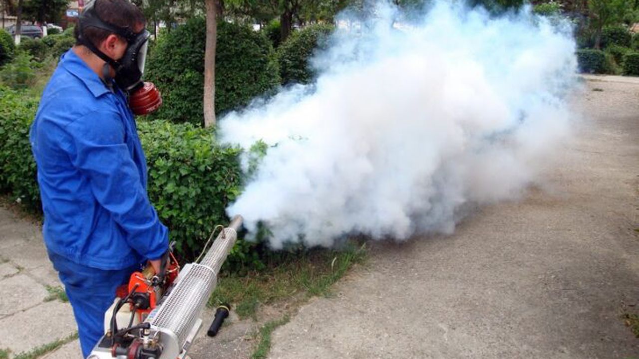 dezinsectie_slider_23_78103300