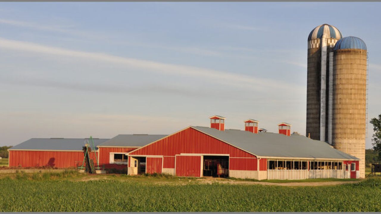 metz_farm__summer_2011_59737000