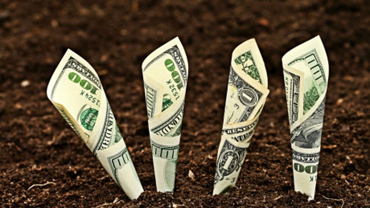 money_soil_11258500_04707100
