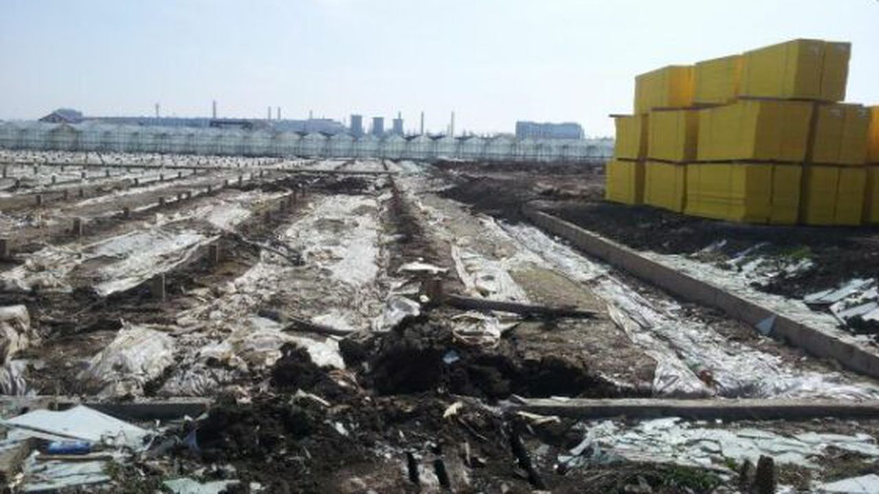 serele_berceni_09312900