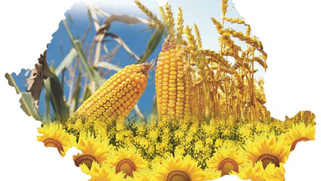 6_ianuarie_agricultura_66874600