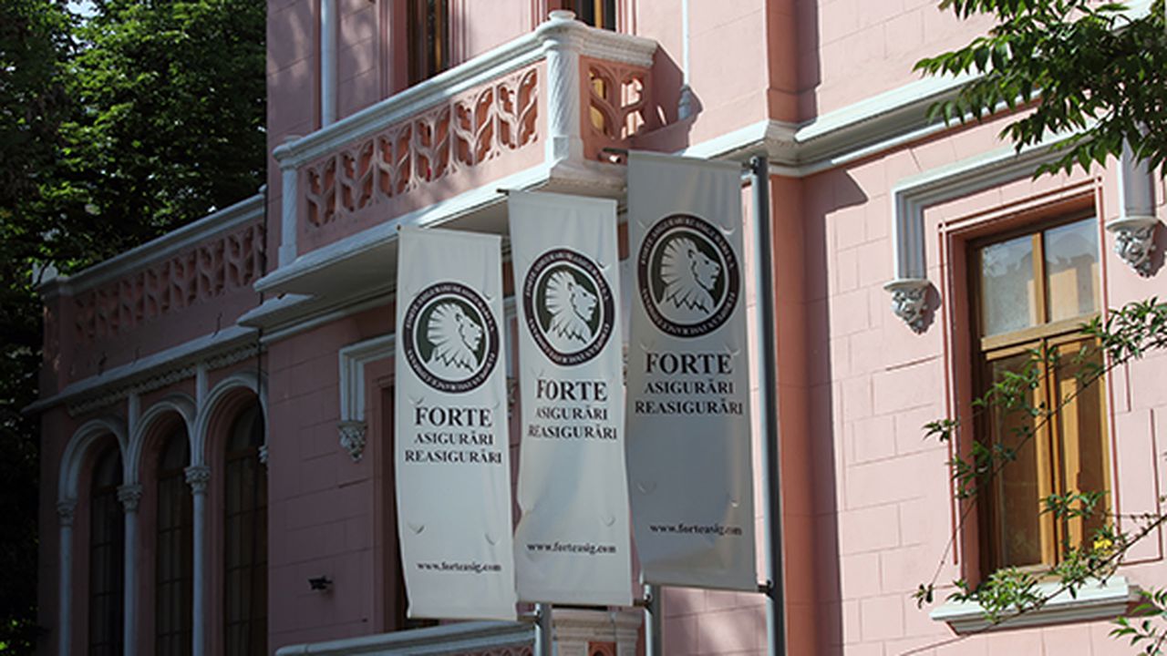 forte_7865940596878590_87068600