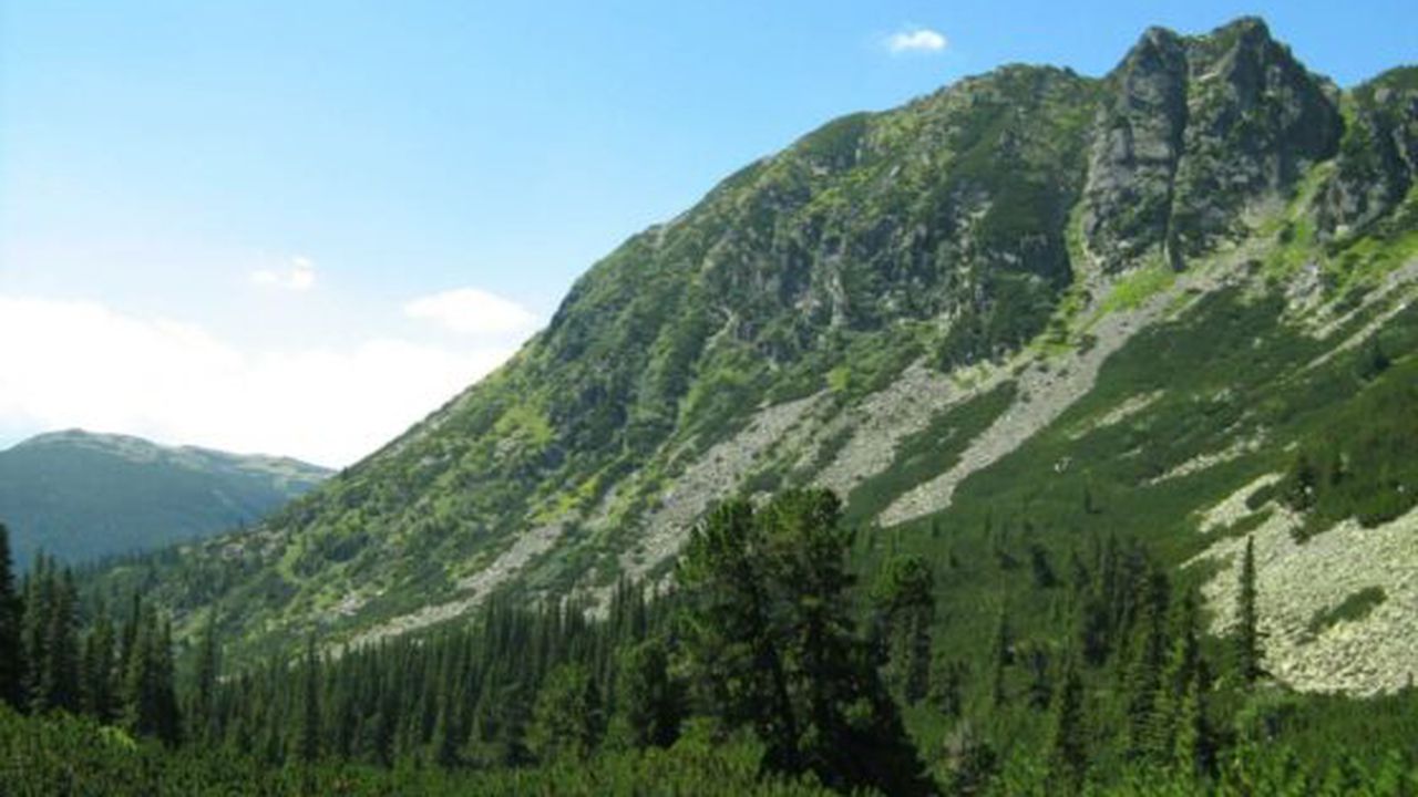 8536_16198_10_30019500