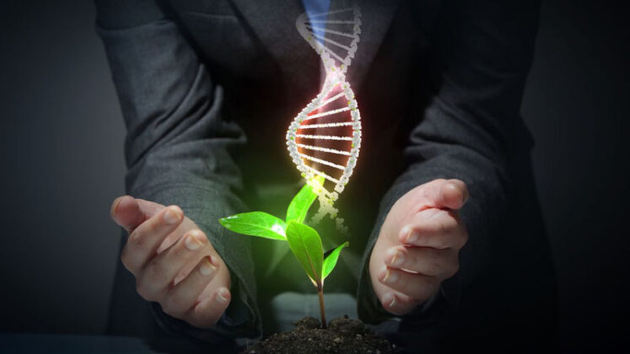 natural_sciences_course_106450_large_67658300