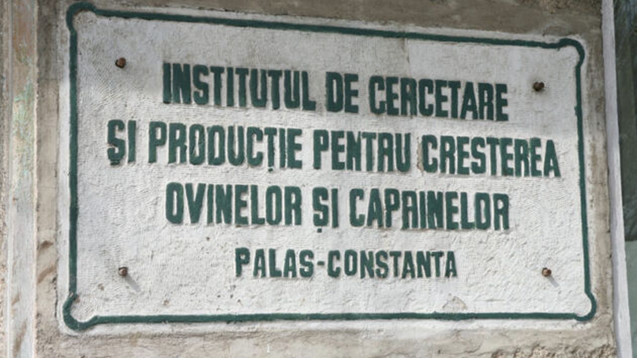 salvatioieriapalas24_1461168279_87483500