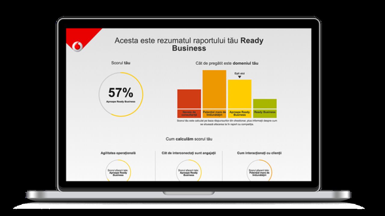 captura_raport_ready_business_06816300