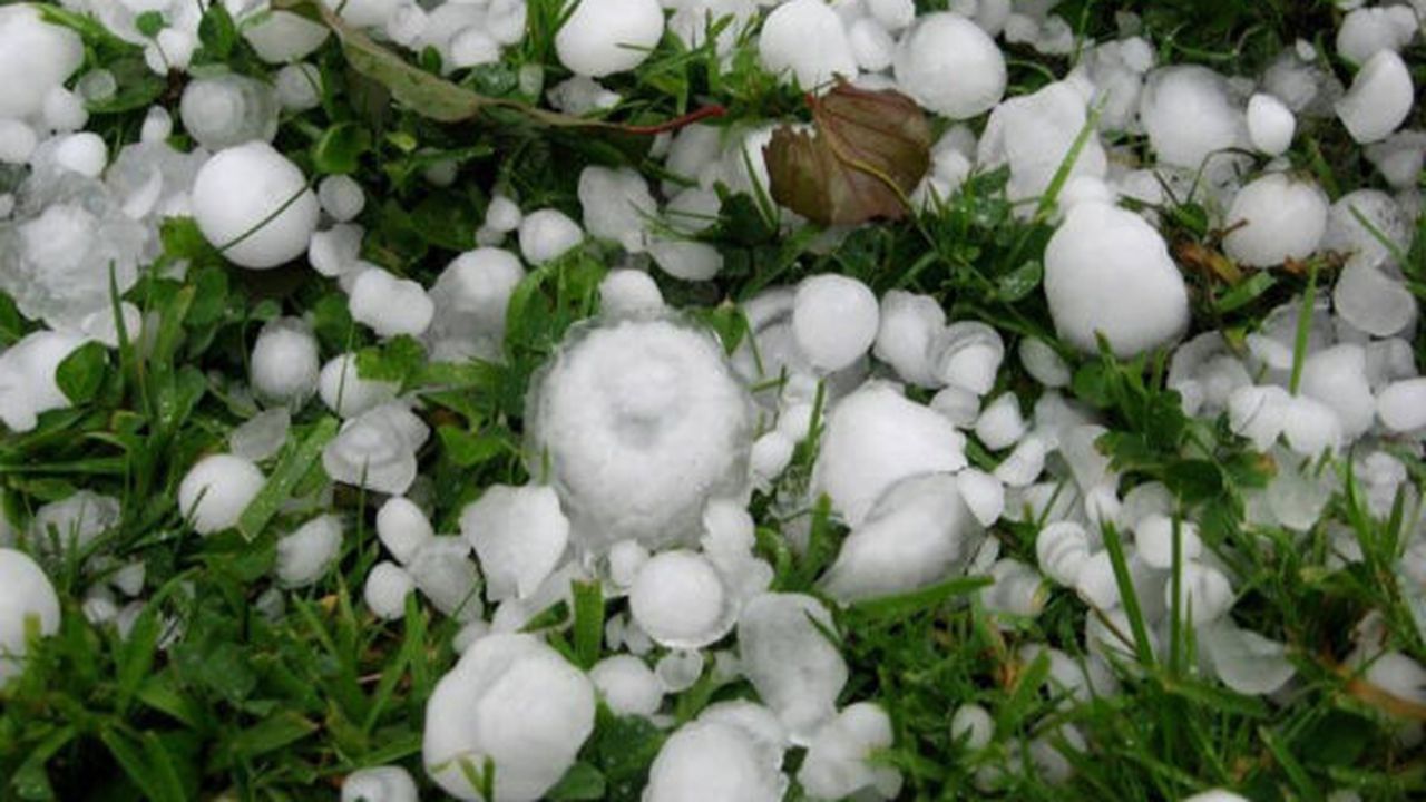 carla_lucaci_06418200