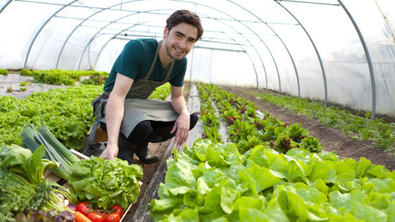 organic_farmers_image_550x367_15879000