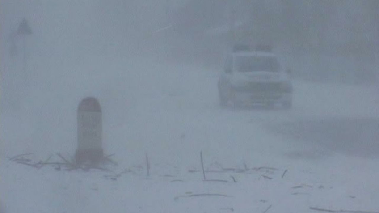 iarna_viscol_03819700