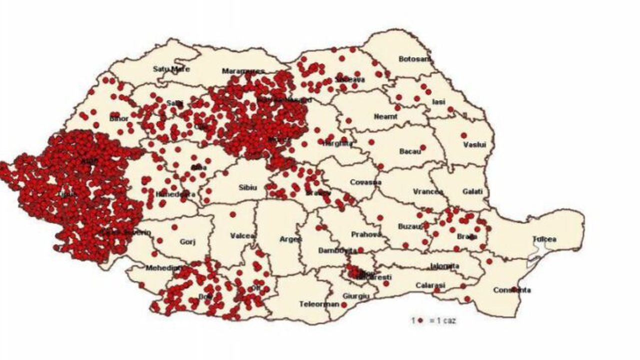 rujeola_21_decembrie_99943100