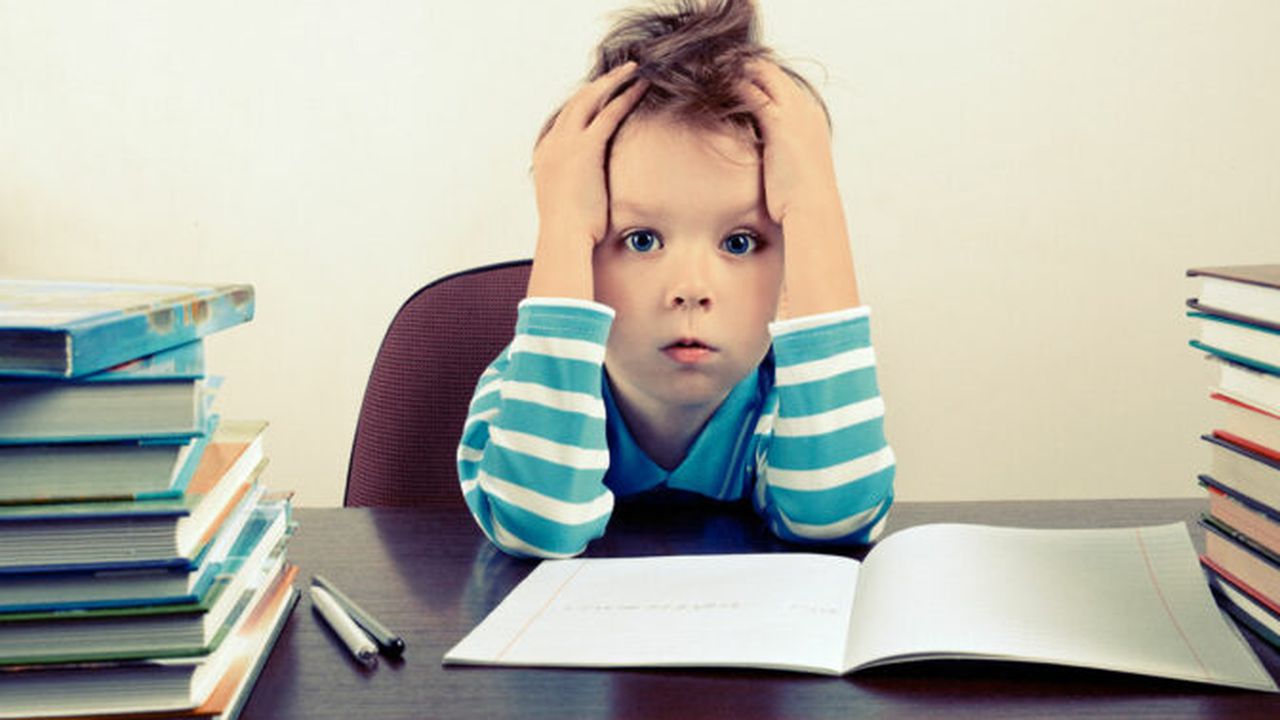 so_much_homework_ftr_09615600