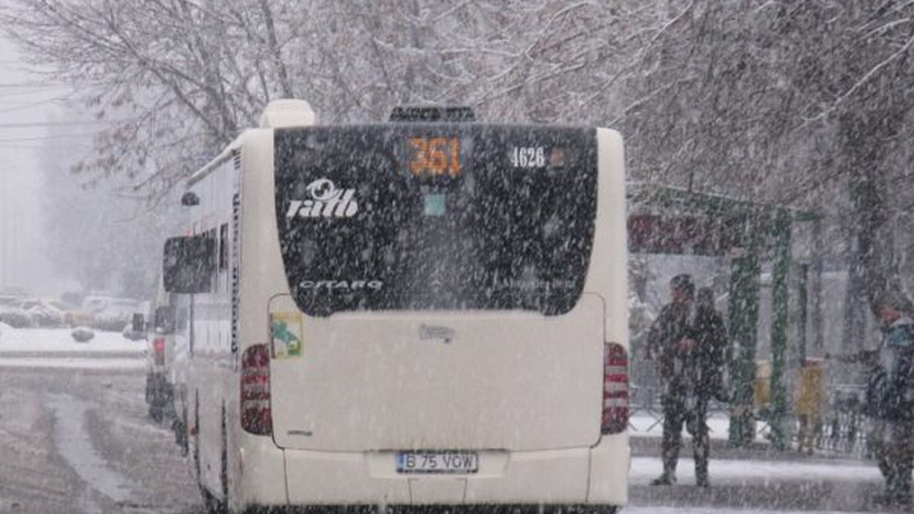 361_autobuz_33227100