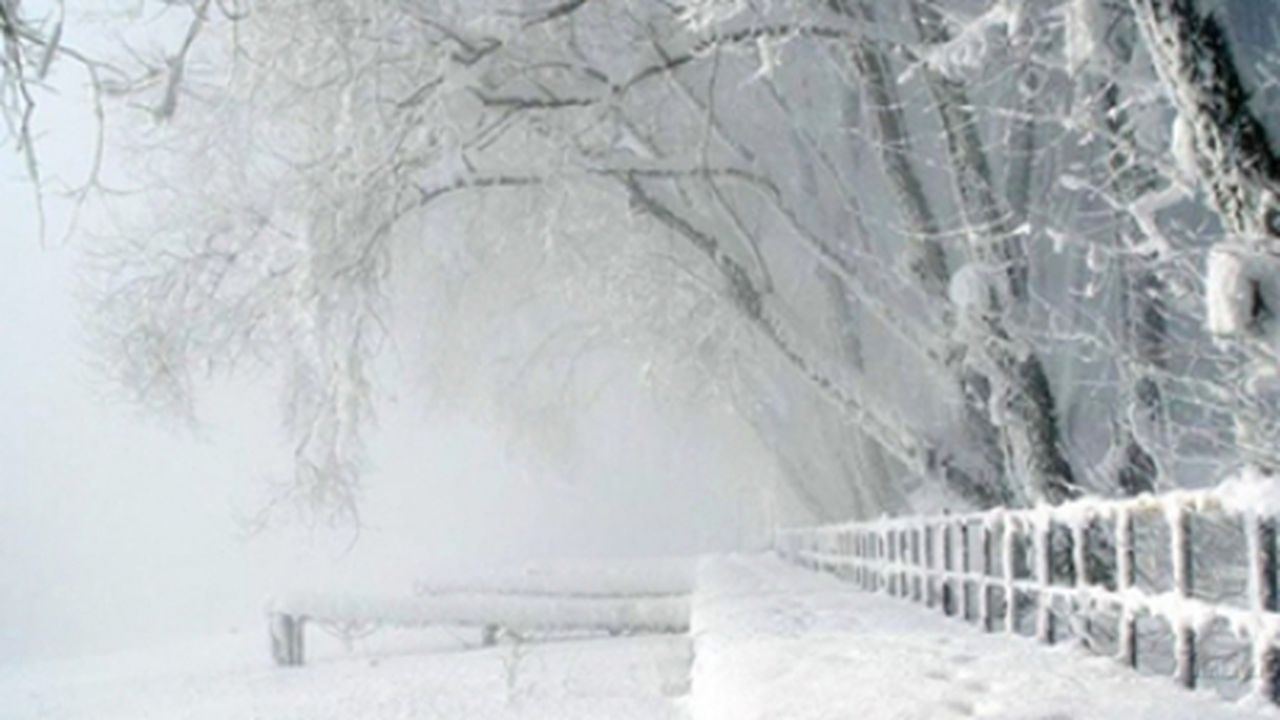 iarna_friguroasa_52475200_29453200